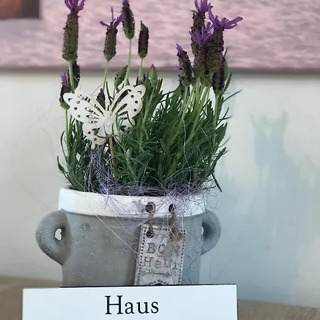 Strandlust Ferienhaus